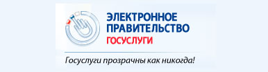 Электронное правительство РФ